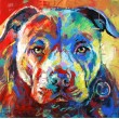 Stafforshire Bull Terrier